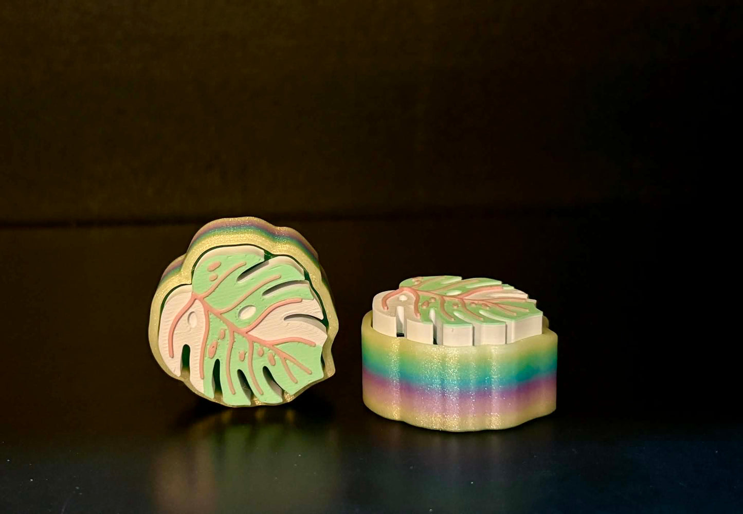 Rainbow Variegated Monstera Clicker