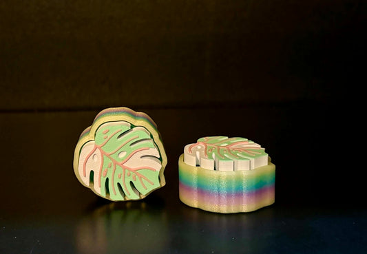 Rainbow Variegated Monstera Clicker