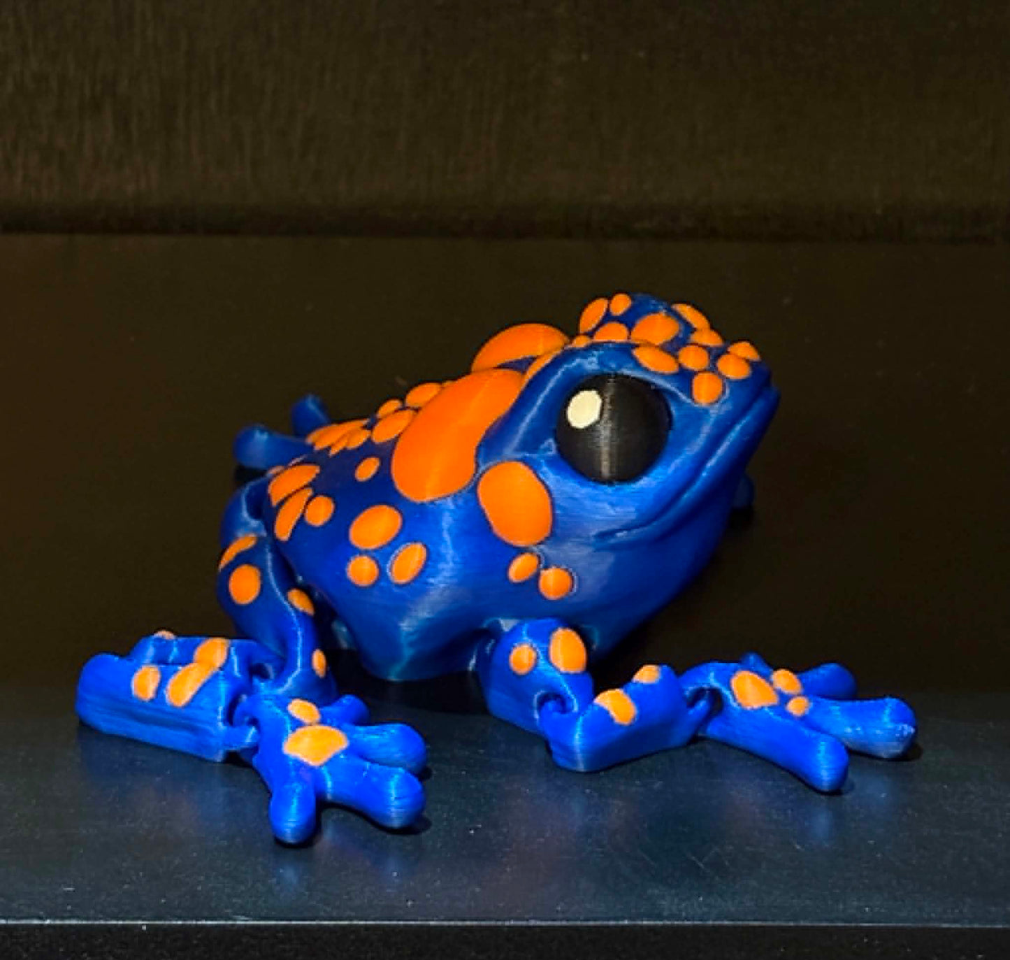 Tropical Toad